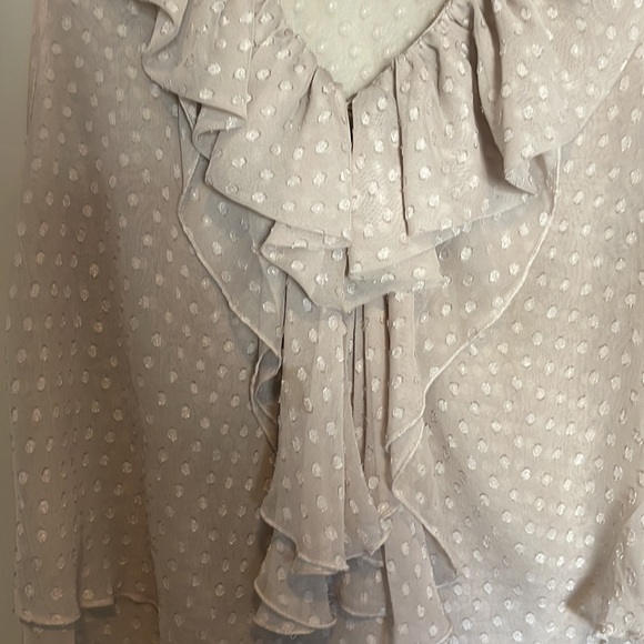 Daniel Rainn Mesh Ruffle Top - Picture 2 of 2